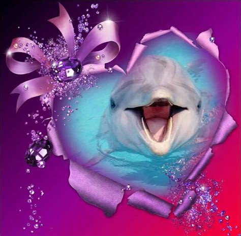 Dolphin in a heart filter 😍💗💕🎀 | Dolphin art, Baby dolphins, Dolphin images