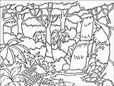 Forest Coloring Pages  Best For Kids sketch template