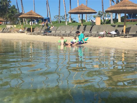 Hilton Waikoloa Lagoon - Swimming with Turtles - MisMashedMom