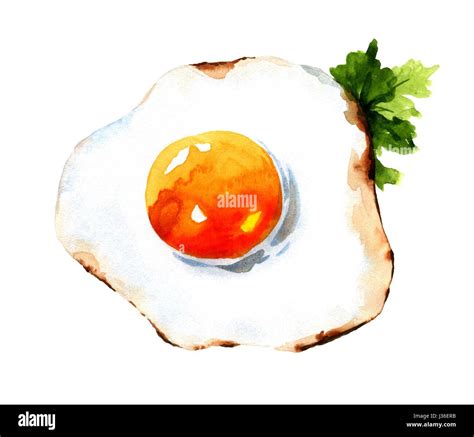 Fried egg. Watercolor illustration Stock Photo - Alamy
