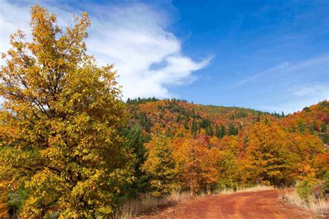 Plumas County | 4 Seasons of Adventure in Northern California