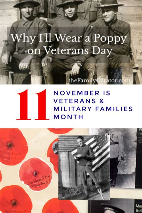 Why I'll Wear a Poppy on Veterans Day - The Family Curator