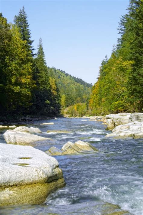 Spring river stock image. Image of morning, forest, british - 6930213