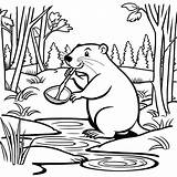 Beaver building A Lodge coloring Page In 2024  Coloring Pages Color sketch template