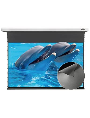 Best Alr Screen For Ust Projector - Mount It Right