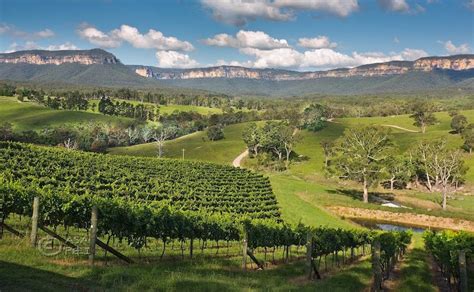 Wine regions and wineries near Sydney | Your Sydney Guide