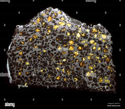 Pallasite meteorite. Cut surface of a pallasite meteorite showing its ...