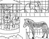 Free Printable Zoo Coloring Pages For Kids sketch template