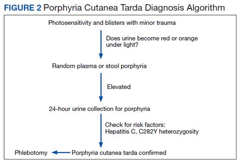 A Case-Based Review of Iron Overload With an Emphasis on Porphyria Cutanea Tarda, Hepatitis C ...