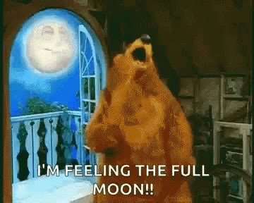 Moon Bear GIF - Moon Bear Dancing - Ανακαλύψτε και κοινοποιήστε GIF