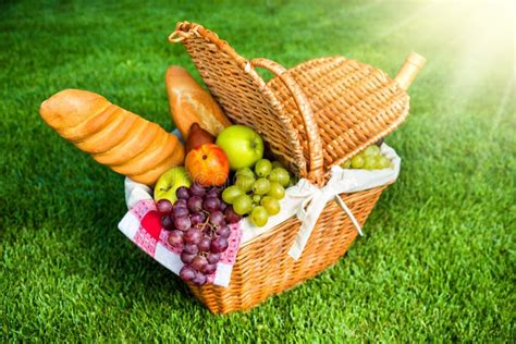 Picnic Basket on Grass in Park Stock Image - Image of grass, picnic: 113829107