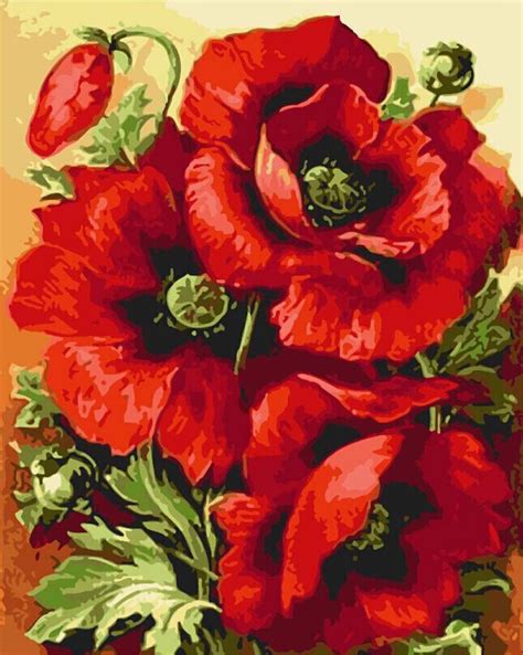 New Digital DIY Oil Paintings By Numbers Canvas Handpainted Abstract Poppy Flower Painting For ...