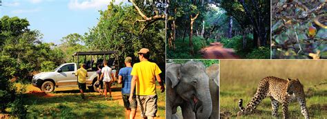 SRI LANKA - Wildlife Safaris - ECO Experience Wildlife Safaris in Sri Lanka