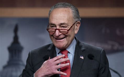 Schumer reelected US Senate leader after Democrats expand majority ...