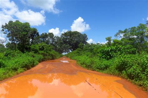 Travellers' Guide To Guinea Bissau - Wiki Travel Guide - Travellerspoint