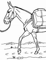 Pack Mule Coloring Page  BreyerHorsescom sketch template