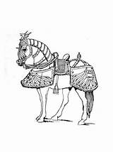 Armored Horses Coloring Page  FaveCraftscom sketch template