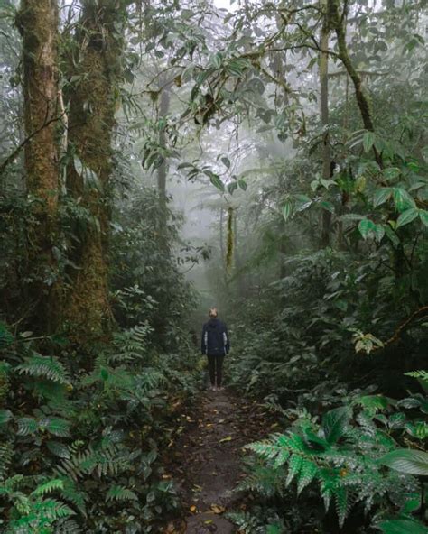 Visiting the Magical Santa Elena Cloud Forest Reserve