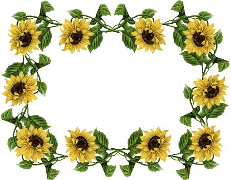 Sunflower Border Clip Art - Cliparts.co