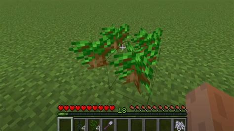 How to Grow a Dark Oak Tree in Minecraft? Full Guide : Faceoff