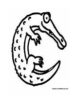 Alligator Alphabet Coloring Pages sketch template