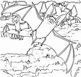 OnlineLabels Clip Art  Coloring Book Ozark Big Eared Bat sketch template