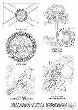 Florida Animals coloring Pages Download And Print For Free sketch template