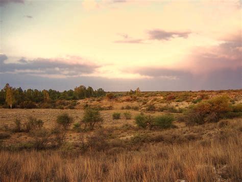 South Africa | A farm near Kimberley. | Irene2005 | Flickr