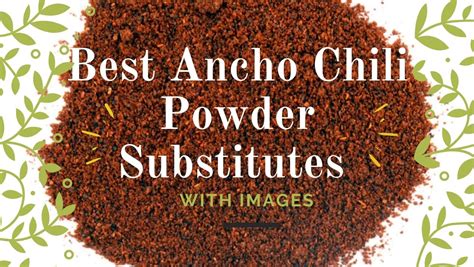 8 Best Ancho Chili Powder Substitutes With Images - Asian Recipe