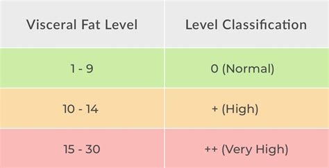 What is Visceral Fat and How to Get Rid of it? - Breathe Well-Being