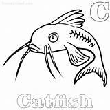 Catfish Coloring Pages Printable Free PDF  Coloringfoldercom sketch template