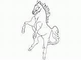 Line Art  Clip Library sketch template