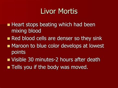 Livor Mortis Definition And Stages