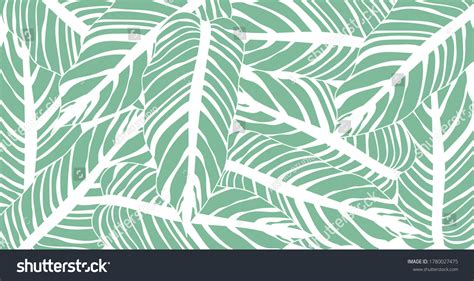 Leaf Line Art Background Vector Wallpaper Stock Vector (Royalty Free) 1780027475 | Shutterstock