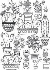 Cactus And Succulent Printable Adult Coloring Pages sketch template
