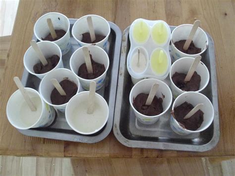The Do-It-Yourself Mom: DIY Pudding Pops