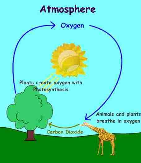 The properties , source and cycle of oxygen gas | Science online