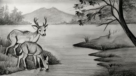 Deer Easy Forest Pencil Drawing - img-cahoots