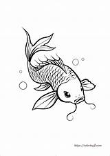 Japanese Koi Fish  Free Coloring Sheet sketch template