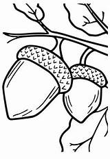 5 Free Printable Acorn Coloring Pages For Adults And Kids  Lystokcom sketch template