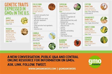 Top 8 GMO myths and the truth behind the information you've been fed ...