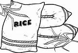 Five Fun Rice Coloring Pages For Kids  sketch template