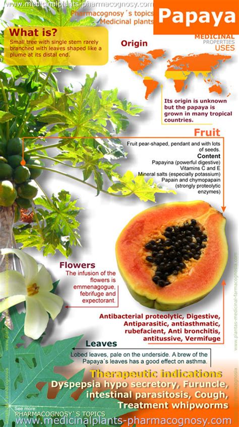 Papaya Nutritional Benefits - HRF