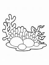 Seaweed coloring pages sketch template