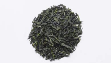 Gyokuro Vs Sencha: Which One is Best