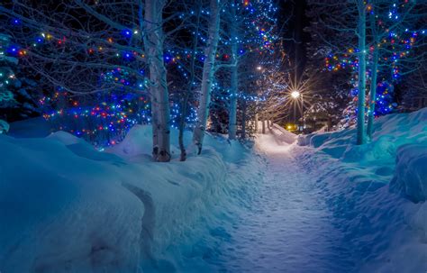 Where to See the Best & Most Beautiful Christmas Lights in Ottawa - SavvyMom