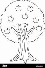 Apple Tree Coloring Pages For Preschool sketch template