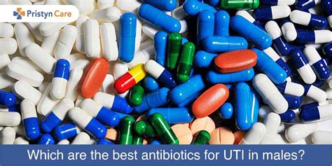 Top 15 pregnancy safe antibiotics for uti 2022