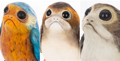 From Puffins to Porgs - D23