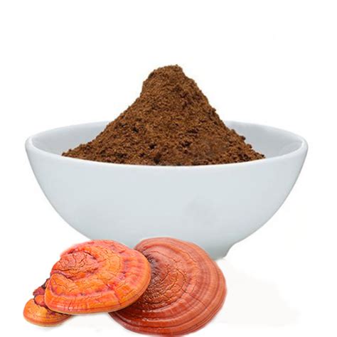 RED REISHI (Ganoderma lucidum) Mushroom Powder